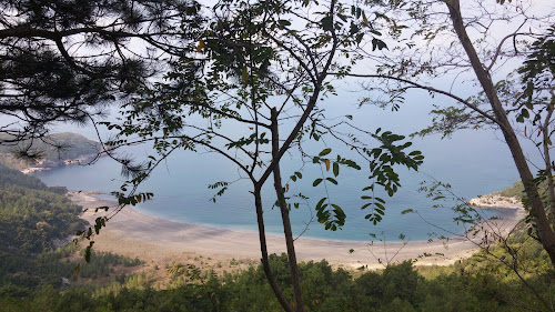 Gomu Beach photo #2