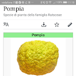 Photo n°2 de l'avis de raffaella.i fait le 10/03/2018 à 10:11 sur le  Osteria Pizzeria Il Talismano à Siniscola