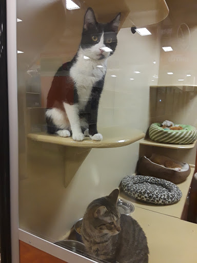 Pet Supply Store «PetSmart», reviews and photos, 2828 Campus Pkwy, Riverside, CA 92507, USA