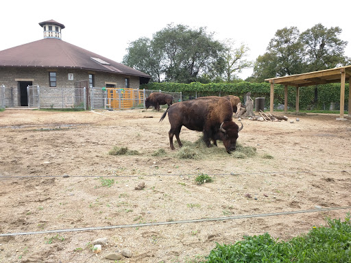 Zoo «Como Park Zoo & Conservatory», reviews and photos, 1225 Estabrook Dr, St Paul, MN 55103, USA