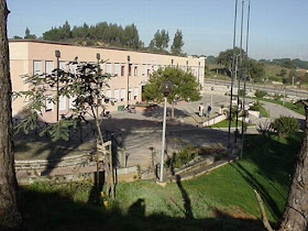 Escola Secundária Dom Manuel Martins