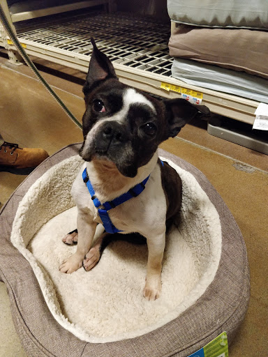 Pet Supply Store «PetSmart», reviews and photos, 11501 Metcalf Ave, Overland Park, KS 66210, USA