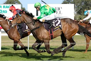 Tuncurry-Forster Jockey Club - Horse Racing Clubs NSW image