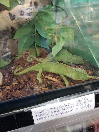 Pet Store «34 Pet Shop», reviews and photos, 3434 W Slauson Ave, Los Angeles, CA 90043, USA