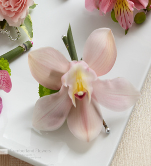 Florist «Cumberland Flowers», reviews and photos, 11817 E Washington St, Indianapolis, IN 46229, USA