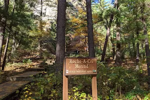 Roche-A-Cri State Park image