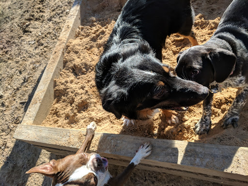 Park «Piney Wood Park», reviews and photos, 400 E Woodcroft Pkwy, Durham, NC 27713, USA