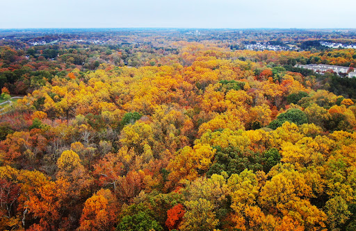 Park «Fairland Recreational Park», reviews and photos, 3928 Greencastle Rd, Burtonsville, MD 20866, USA