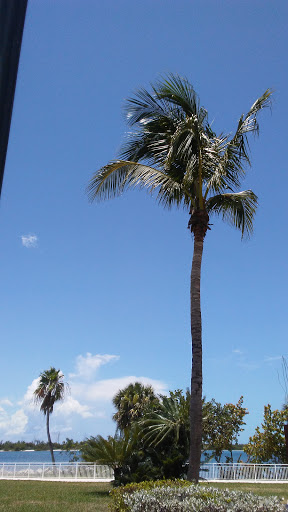 Aquarium «St. Lucie County Aquarium», reviews and photos, 420 Seaway Dr, Fort Pierce, FL 34949, USA