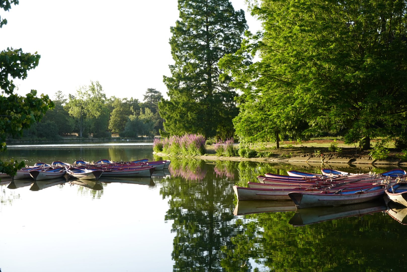 Photo n° 3 de l'avis de D. fait le 18/07/2023 à 18:56