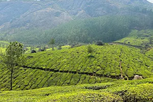 Munnar hill view point image