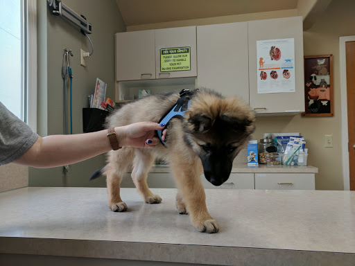 Richland Animal Hospital image