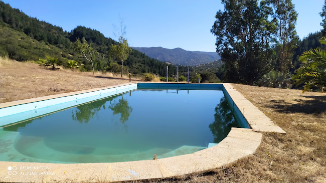 Horarios de VC Valle Colchagua
