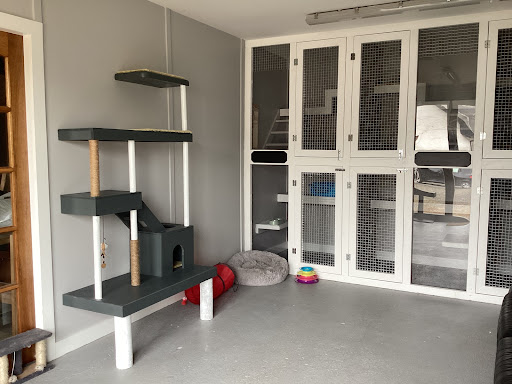 CJs Cattery