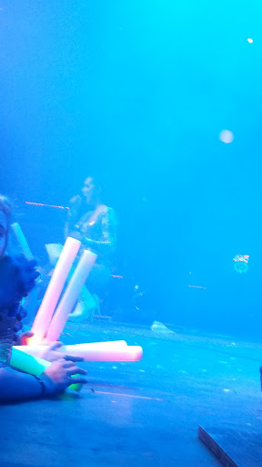 Bar «Club Sound», reviews and photos, 579 W 200 S, Salt Lake City, UT 84101, USA