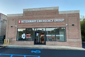 Veterinary Emergency Group image