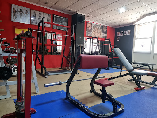 Gym Mediterrani en Alcoi, Alicante