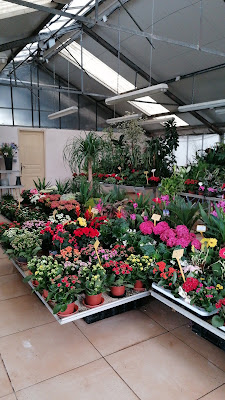 Aux Mille Fleurs à Puget-ville