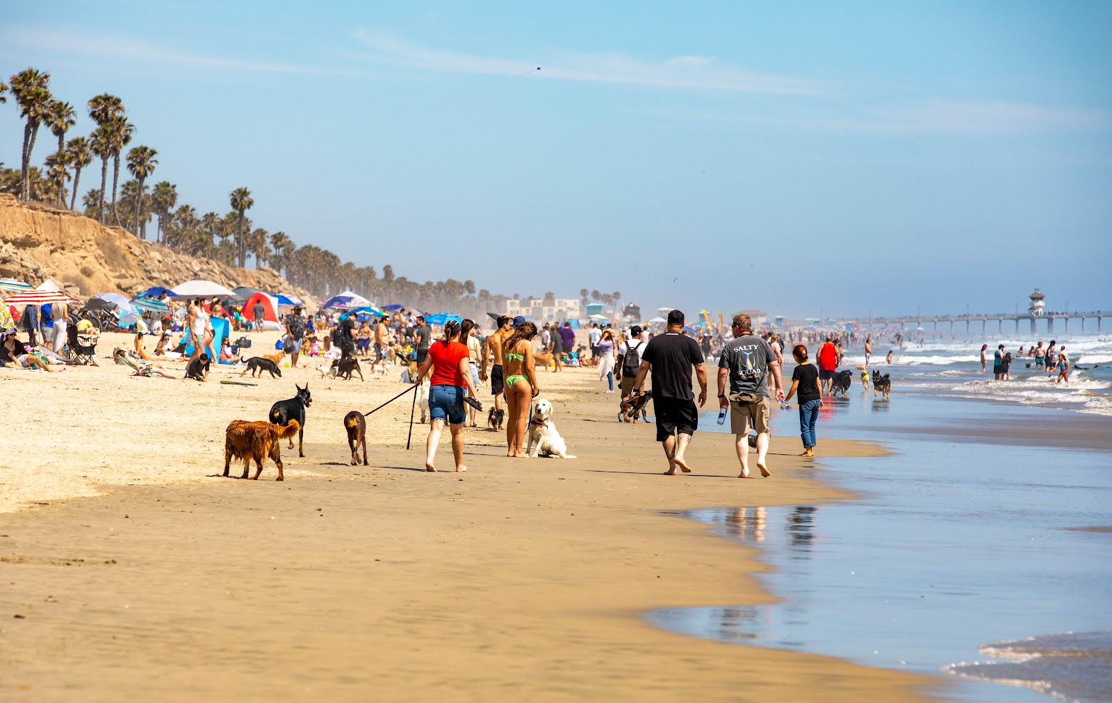 Fotografija Huntington Dog Beach z dolga ravna obala