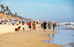Huntington Dog Beach'in fotoğrafı çok temiz temizlik seviyesi ile