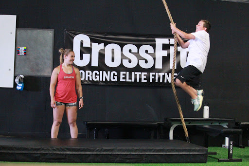 CrossFit Dog Fight