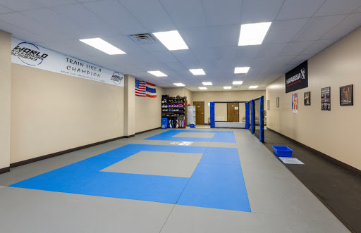 Martial Arts School «World Kickboxing Academy and Brazilian Jiu Jitsu of Cuyahoga Falls», reviews and photos, 1830 Portage Trail, Cuyahoga Falls, OH 44223, USA