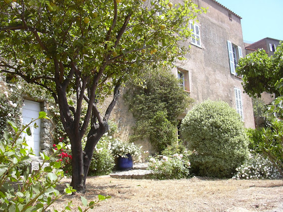 Extérieur Maison d'hôtes Maison d'hôtes Aregno 20220 Aregno