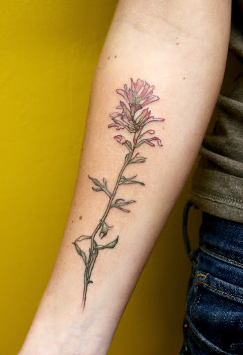 Tattoo Shop «Thistle and Pearl Tattoo», reviews and photos, 107 Merrimon Ave #310, Asheville, NC 28801, USA