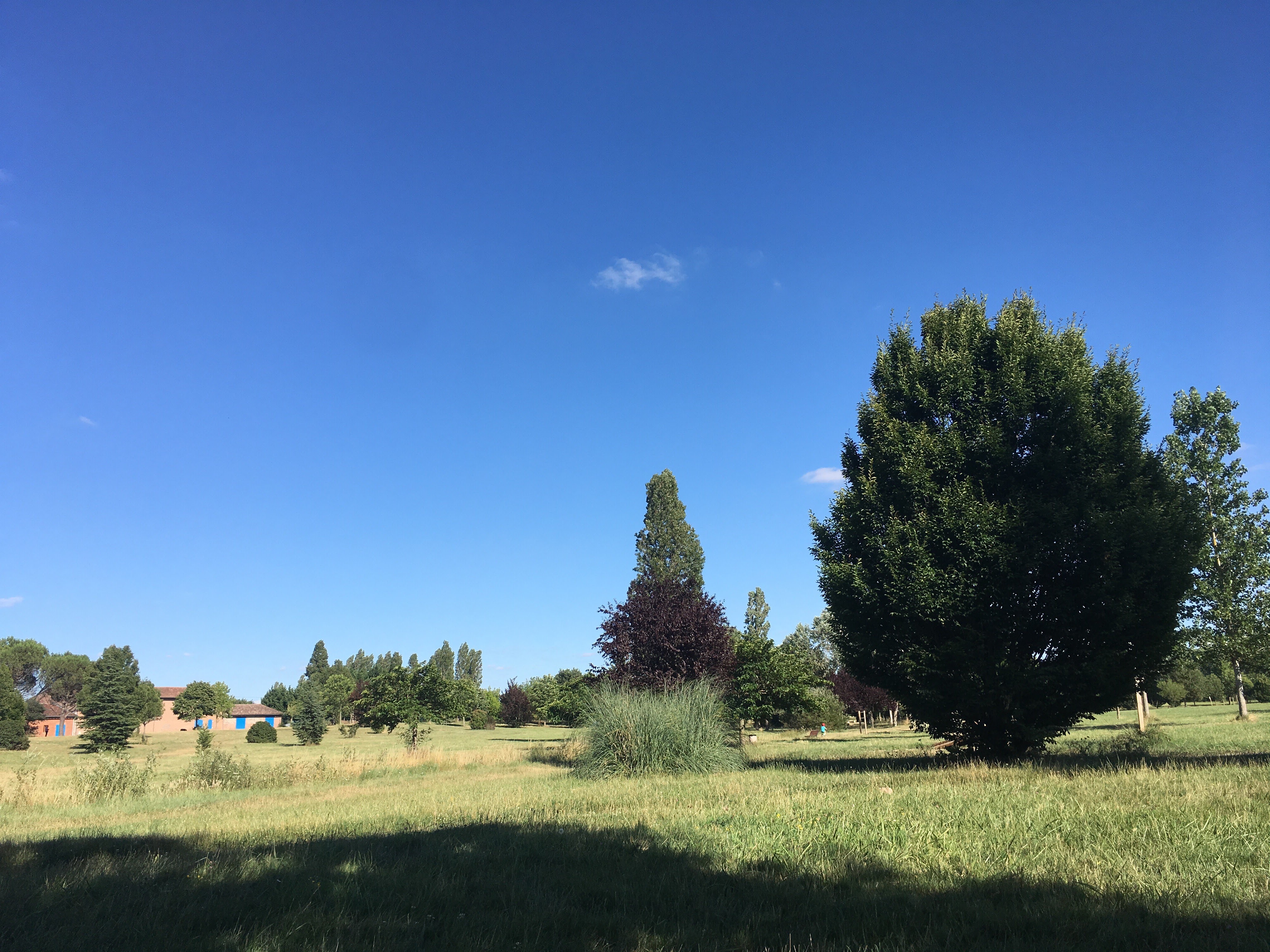 Photo n° 1 de l'avis de Vincent.o fait le 14/07/2017 à 16:26