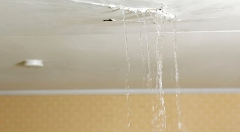 Roofing Contractor «Best Beach Roofing», reviews and photos, 550 First Colonial Road #3462, Virginia Beach, VA 23454, USA