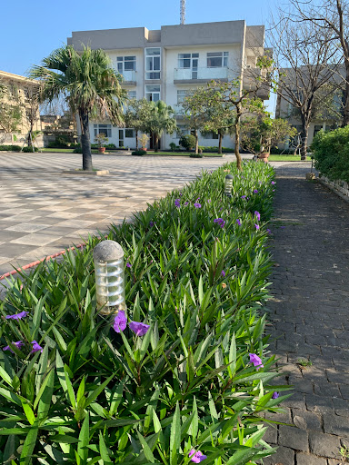 Top 10 cửa hàng đồ gỗ Huyện Đảo Cồn cỏ Quảng Trị 2022