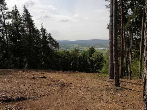 Küçük Resim 1