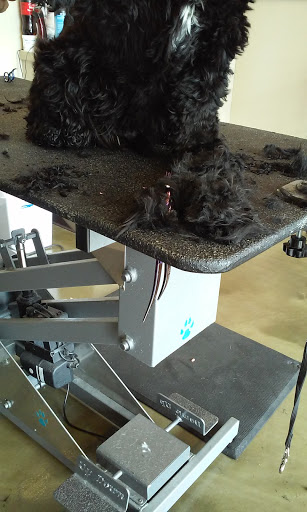 Pet Supply Store «Pet Supplies Plus», reviews and photos, 1155 Washington Pike, Bridgeville, PA 15017, USA