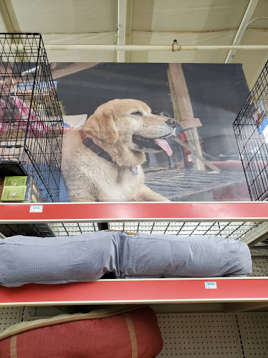 Home Improvement Store «Tractor Supply Co.», reviews and photos, 1550 Whitehall Rd, Muskegon, MI 49445, USA