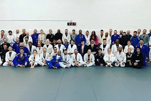 313 Brazilian Jiu Jitsu image