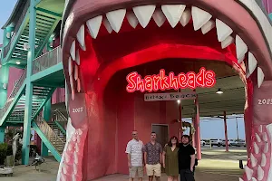Sharkheads image