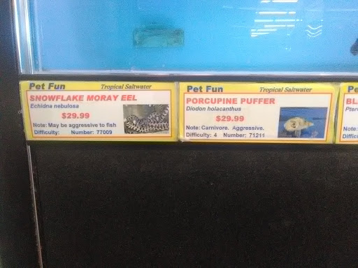 Pet Supply Store «Pet Fun At Harden Ranch Plz», reviews and photos, 1780 N Main St, Salinas, CA 93906, USA