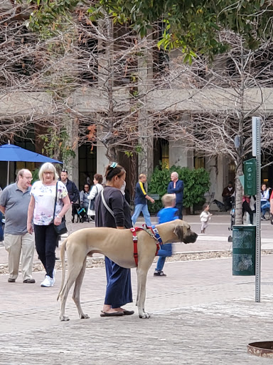 Event Venue «Pearl Stable», reviews and photos, 307 Pearl Pkwy, San Antonio, TX 78215, USA