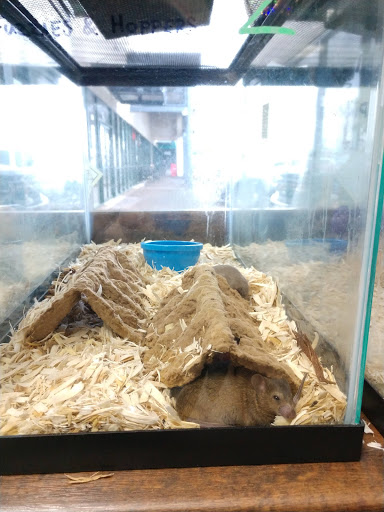Pet Store «Pet Time», reviews and photos, 3141 W 11th Ave, Eugene, OR 97402, USA