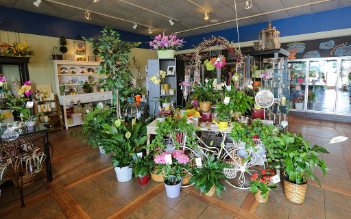 Dried flower shop Wilmington