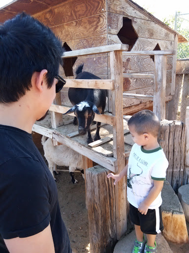 Zoo «Jr Pony Parties», reviews and photos, 1744 N Leonard Ln, Las Vegas, NV 89108, USA