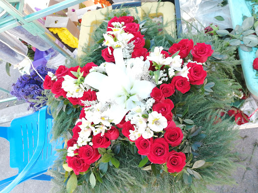 Florería Ramitos De Amor y venta de rosas