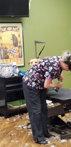 Pet Supply Store «EarthWise Pet Supply», reviews and photos, 7316 Yankee Rd, Liberty Township, OH 45044, USA