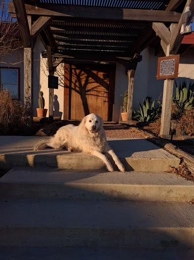 Winery «Hilmy Cellars - Vineyards, Winery & Tasting Room», reviews and photos, 12346 US-290, Fredericksburg, TX 78624, USA