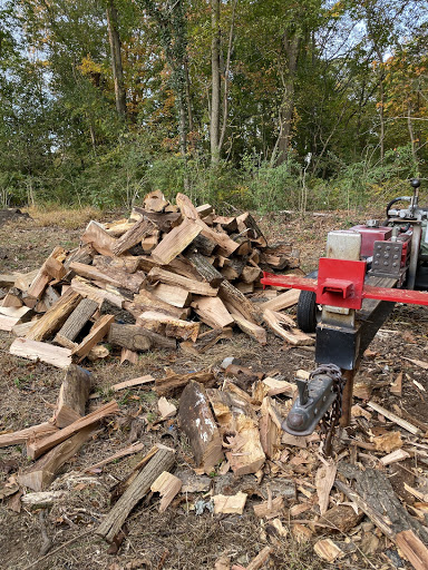 ATV Dealer «Jetsport Suzuki Kawasaki», reviews and photos, 390 E Jericho Turnpike, Huntington Station, NY 11746, USA