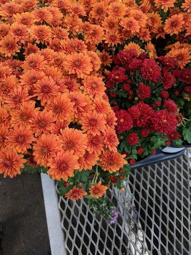 Hardware Store «Orchard Supply Hardware», reviews and photos, 2245 Gellert Blvd, South San Francisco, CA 94080, USA