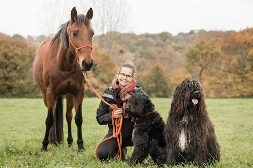CEEPHAO - Formation de comportementaliste animalier (canin, félin, équin) & d’éducateur canin - Programme unique en centre à Saint-Brieuc