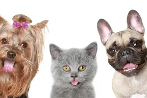 Fryzjer dla psów, groomer - Salon "Pies i Kot" image