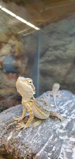 Pet Supply Store «Petco Animal Supplies», reviews and photos, 1824 E Katella Ave, Orange, CA 92867, USA