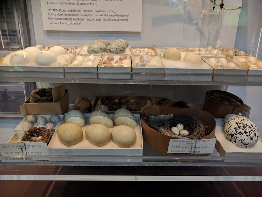 Natural History Museum «Florida Museum of Natural History», reviews and photos, 3215 Hull Rd, Gainesville, FL 32611, USA